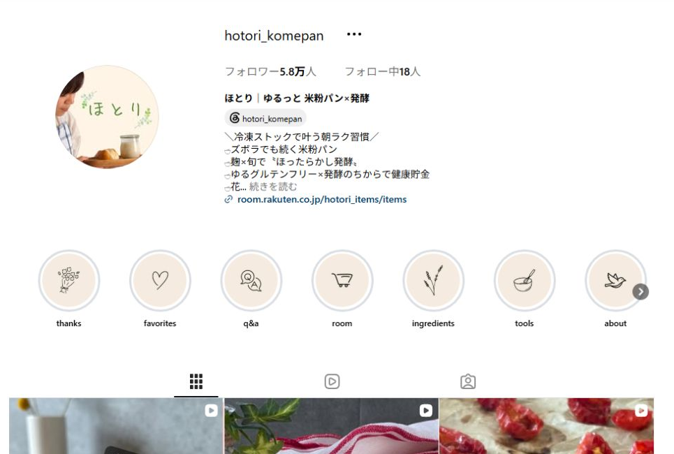 ほとりさんのInstagramプロフィール